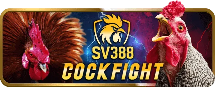 Hình ảnh phân tích sự kiện thể thao 33win999